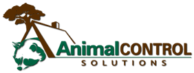 Wildlife Removal Vienna