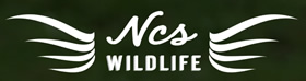 Wildlife Removal Darien, CT.