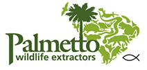 Wildlife Removal Columbia, SC