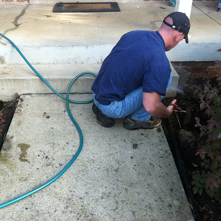 Skunks under Decks, Patio, Porch