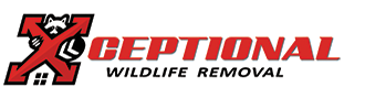 Xceptional Wildlife Removal logo