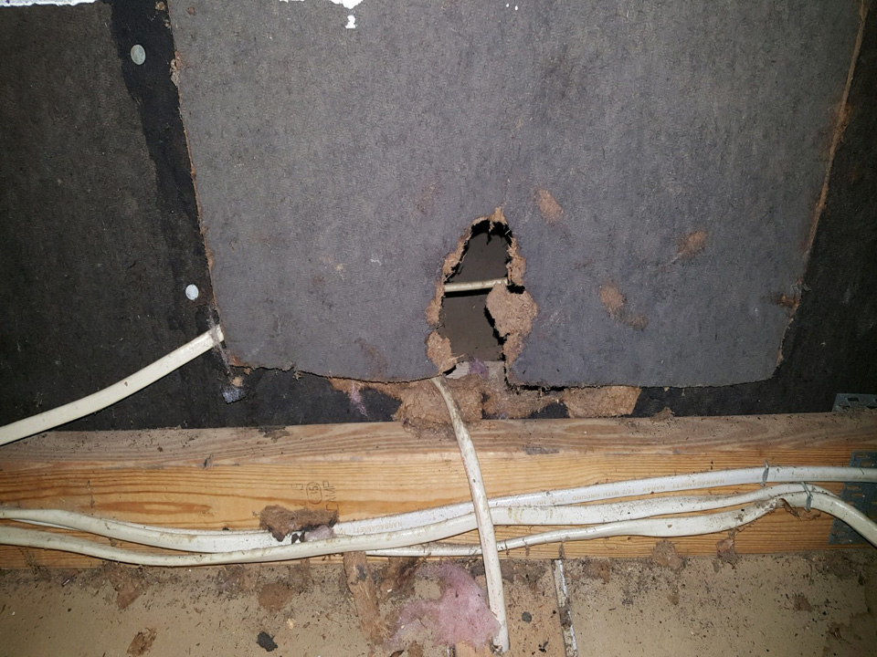rat-damage-repair Rat Removal